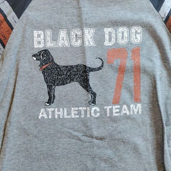 Black Dog Shirt Medium Raglan Long Sleeve Gray Orange Cotton Spring - Picture 2 of 6